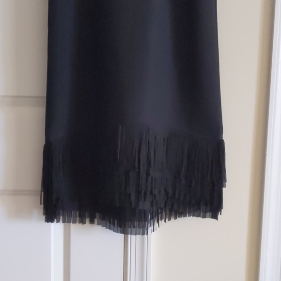 Banana Republic fringe dress - Picture 3 of 3